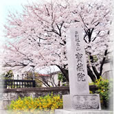 宝蔵院春夏秋冬